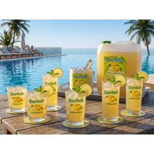 çardak konsantre meyve aromalı içecek 1+5 limonata 5 kg 2 adet