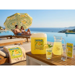 çardak konsantre meyve aromalı içecek 1+5 limonata 5 kg 2 adet