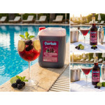 çardak konsantre meyve aromalı içecek 1+5 karadut 5 lt
