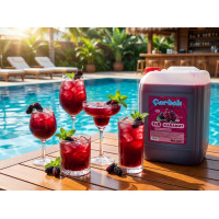 çardak konsantre meyve aromalı içecek 1+5 karadut 5 lt 4 adet