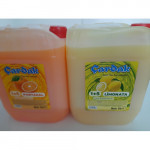 çardak konsantre meyve aromalı içecek 1+5 limonata ve portakal 5 lt