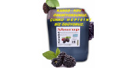 Shurup Konsantre Meyve Aromalı İçecek  5,7 kg   Karadut   1+9