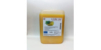 Çok'az Konsantre Meyve Aromalı Şurup 1+9 ANANAS 5 lt