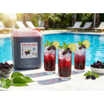 Shurup Konsantre Meyve Aromalı İçecek 2 'Li Karadut + karadut 5,7 kg  1+9