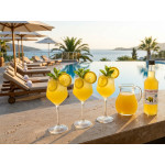 Shurup  Konsantre Meyve Aromalı İçecek  5,7 kg   Limon  1+9